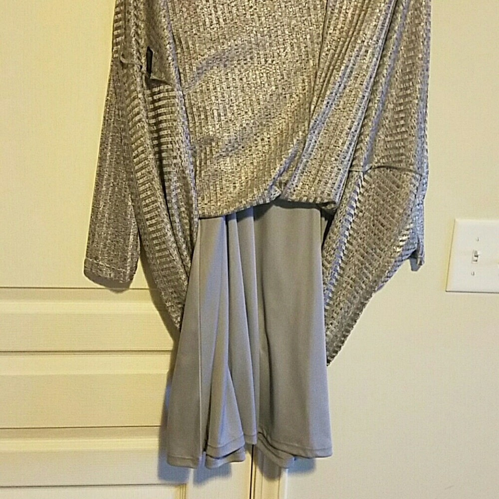 Silver Dress - Picture 3 of 3